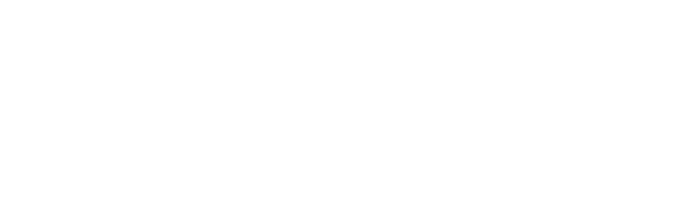 logo white